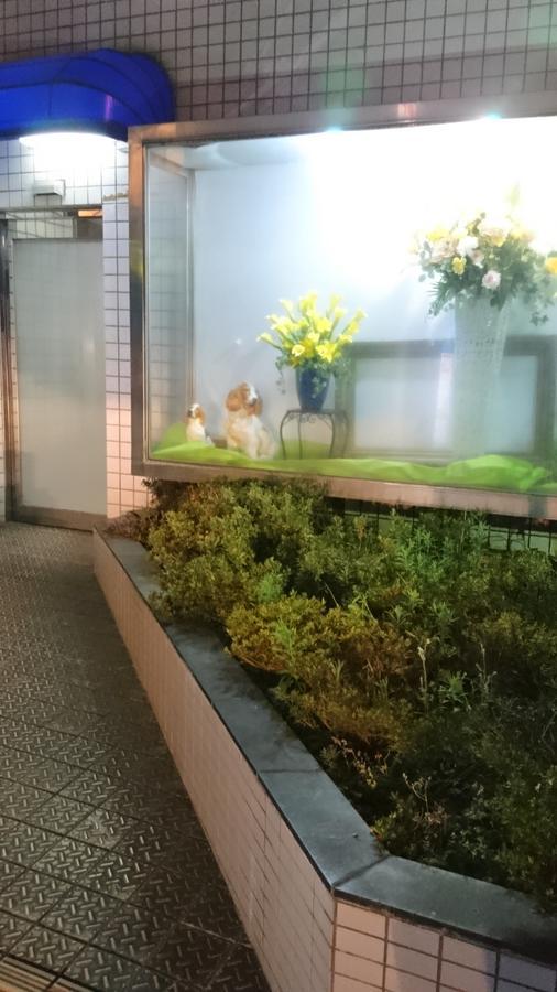 Hotel Loire (Adults Only) Osaka Luaran gambar